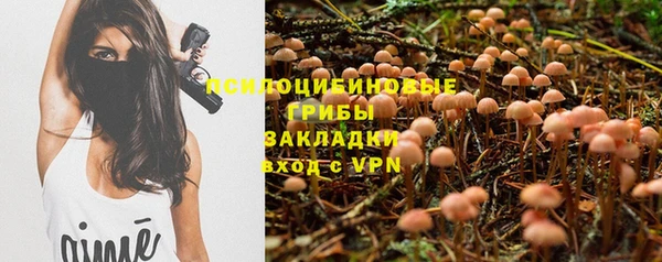 прущая мука Абаза