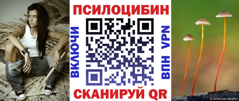 Галлюциногенные грибы мухоморы где купить Вологда