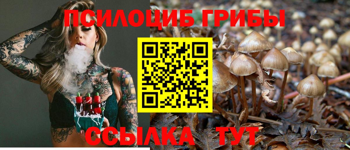 Галлюциногенные грибы GOLDEN TEACHER  Псилоцибиновые грибы Psilocybine cubensis  Вологда  где купить   Вход с VPN 