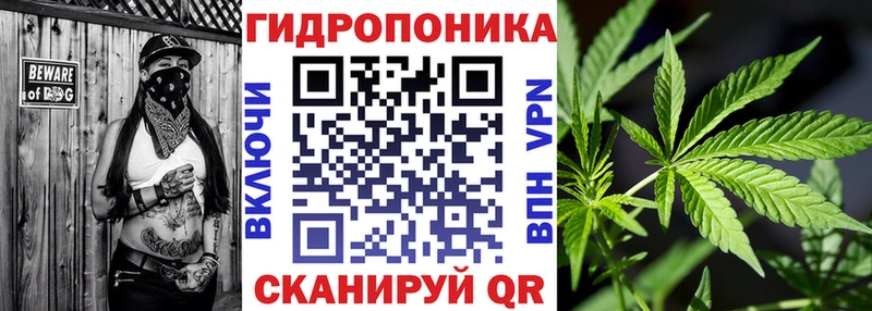 как найти закладки  Вологда  Бошки марихуана Bruce Banner 