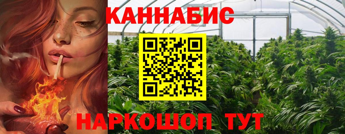 Бошки марихуана ГИДРОПОН Вологда